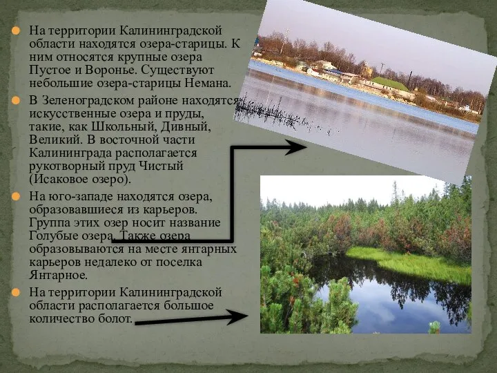 На территории Калининградской области находятся озера-старицы. К ним относятся крупные озера