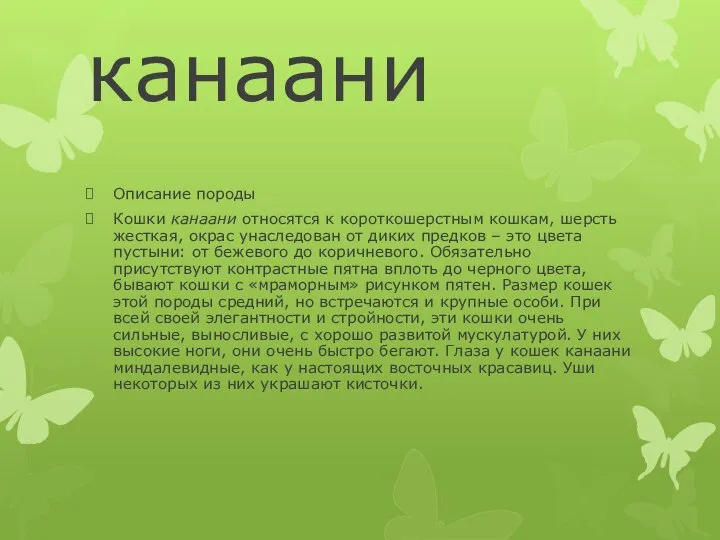 канаани Описание породы Кошки канаани относятся к короткошерстным кошкам, шерсть жесткая,