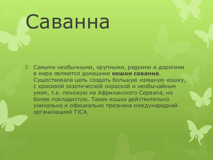 Саванна Самыми необычными, крупными, редкими и дорогими в мире являются домашние