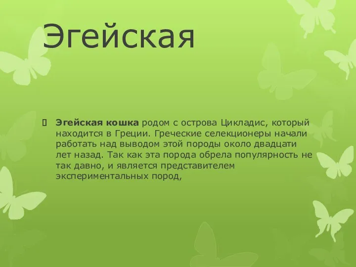 Эгейская Эгейская кошка родом с острова Цикладис, который находится в Греции.