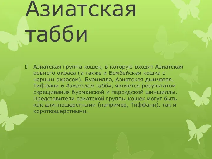 Азиатская табби Азиатская группа кошек, в которую входят Азиатская ровного окраса