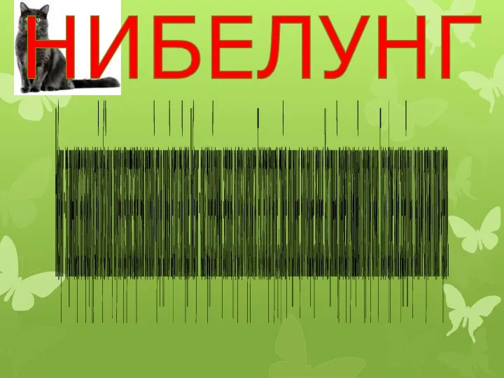 НИБЕЛУНГ Нибелунг - это длинношерстная вариация русской голубой кошки, получена в