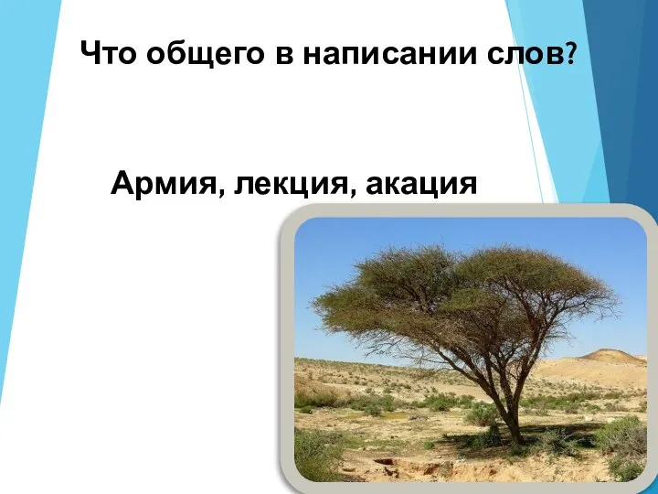 Что общего в написании слов? Армия, лекция, акация