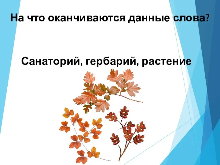 На что оканчиваются данные слова? Санаторий, гербарий, растение