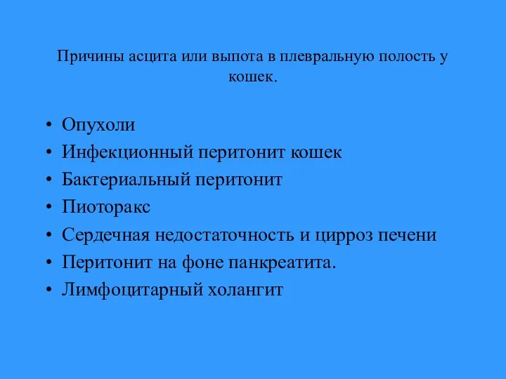 Причины асцита или выпота в плевральную полость у кошек. Опухоли Инфекционный