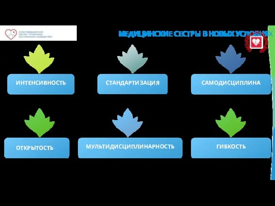 СТАНДАРТИЗАЦИЯ МЕДИЦИНСКИЕ СЕСТРЫ В НОВЫХ УСЛОВИЯХ МУЛЬТИДИСЦИПЛИНАРНОСТЬ САМОДИСЦИПЛИНА ИНТЕНСИВНОСТЬ ГИБКОСТЬ ОТКРЫТОСТЬ