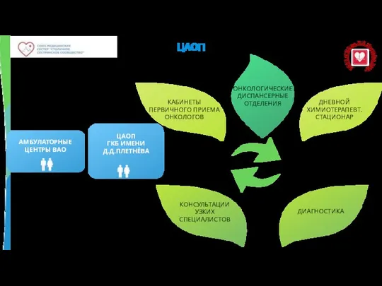 ЦАОП ГКБ ИМЕНИ Д.Д.ПЛЕТНЁВА АМБУЛАТОРНЫЕ ЦЕНТРЫ ВАО ЦАОП ОНКОЛОГИЧЕСКИЕ ДИСПАНСЕРНЫЕ ОТДЕЛЕНИЯ