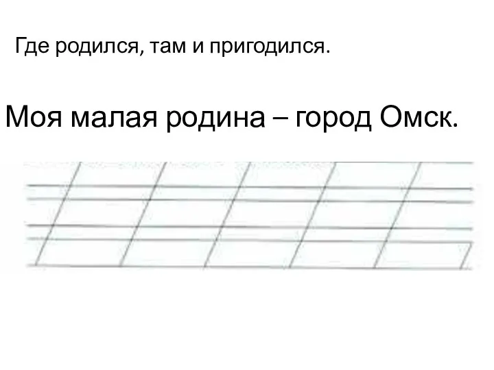 Моя малая родина – город Омск. Где родился, там и пригодился.