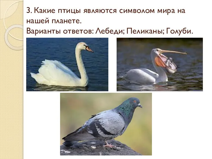 3. Какие птицы являются символом мира на нашей планете. Варианты ответов: Лебеди; Пеликаны; Голуби.