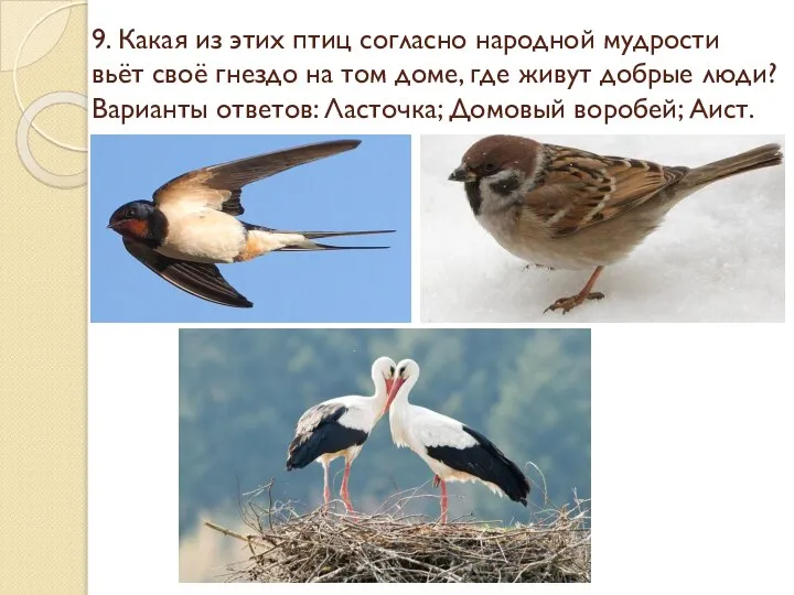 9. Какая из этих птиц согласно народной мудрости вьёт своё гнездо