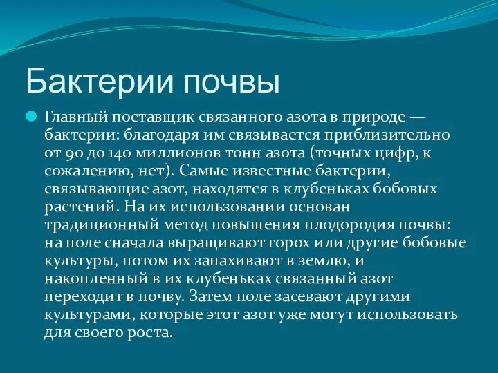 Бактерии почвы Главный поставщик связанного азота в природе — бактерии: благодаря