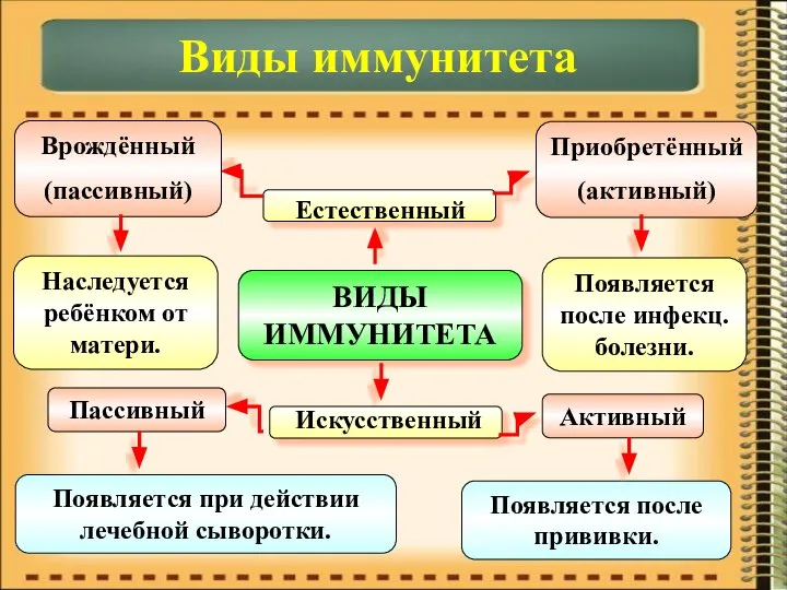 ВИДЫ ИММУНИТЕТА Естественный Искусственный Врождённый (пассивный) Приобретённый (активный) Пассивный Активный Наследуется