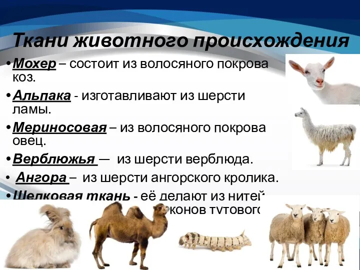 Ткани животного происхождения Мохер – состоит из волосяного покрова коз. Альпака