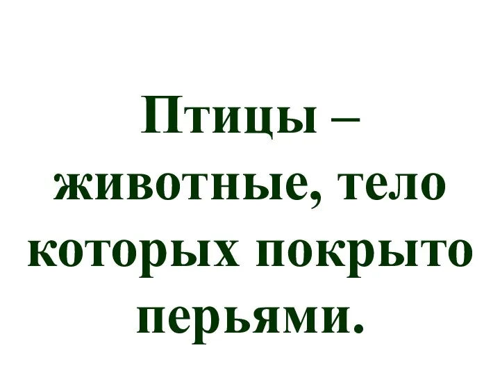 Птицы – животные, тело которых покрыто перьями.