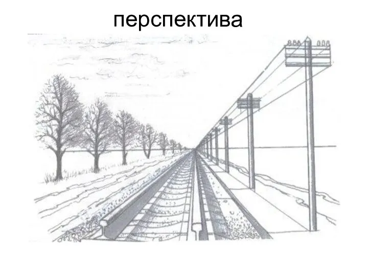 перспектива