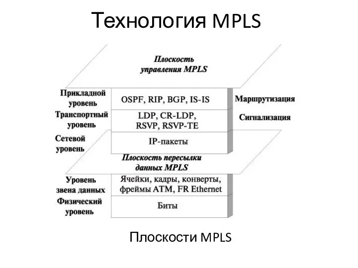 Технология MPLS Плоскости MPLS