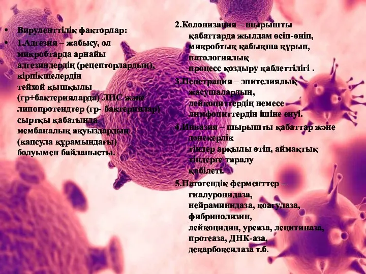 Вируленттілік факторлар: 1.Адгезия – жабысу, ол микробтарда арнайы адгезиндердің (рецепторлардың), кірпікшелердің
