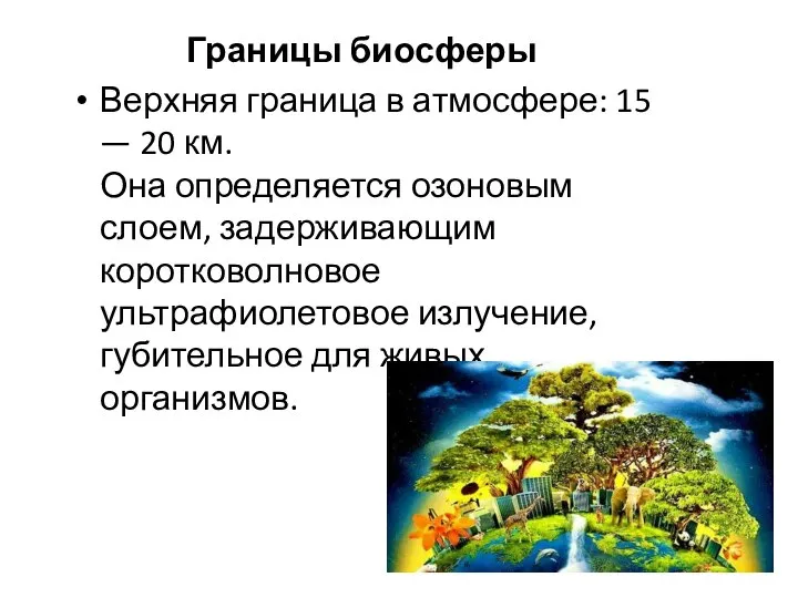 Границы биосферы Верхняя граница в атмосфере: 15 — 20 км. Она