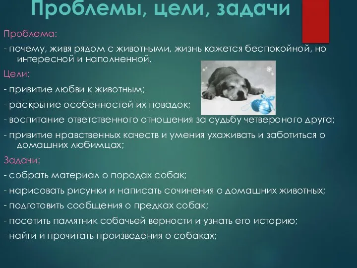 Проблемы, цели, задачи Проблема: - почему, живя рядом с животными, жизнь