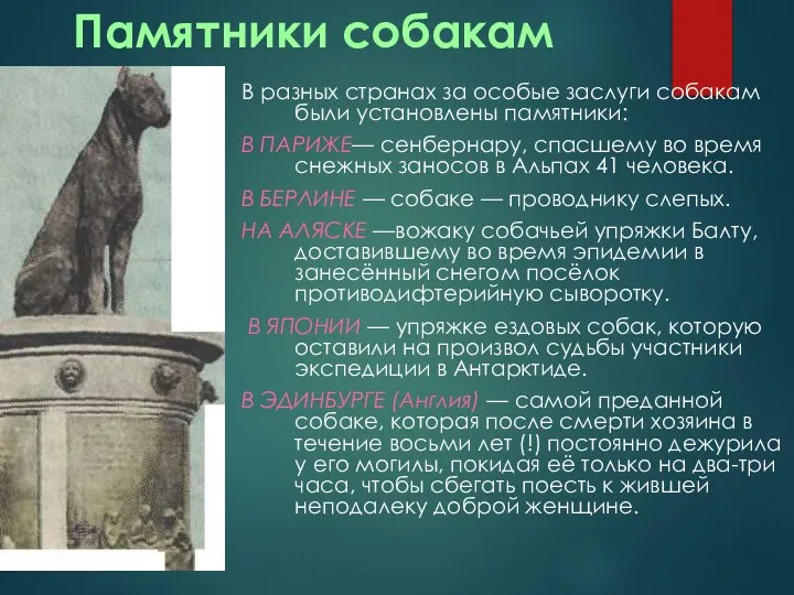 Памятники собакам В разных странах за особые заслуги собакам были установлены