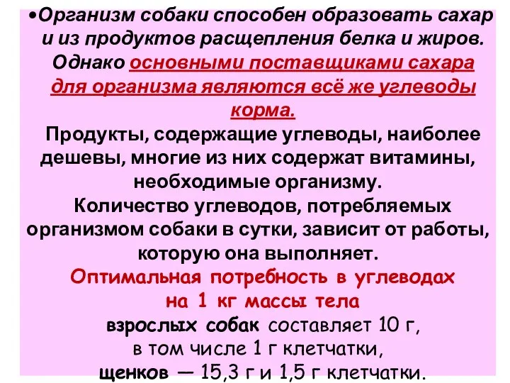 Организм собаки способен образовать сахар и из продуктов расщепления белка и