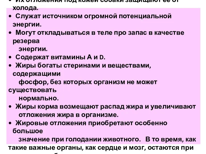 Жиры имеют большое значение для организма: Их отложения под кожей собаки