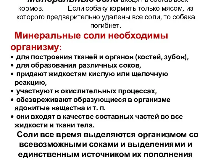 Минеральные соли входят в состав всех кормов. Если собаку кормить только