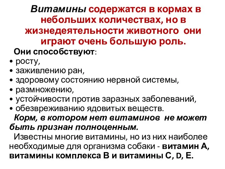 Витамины содержатся в кормах в небольших количествах, но в жизнедеятельности животного