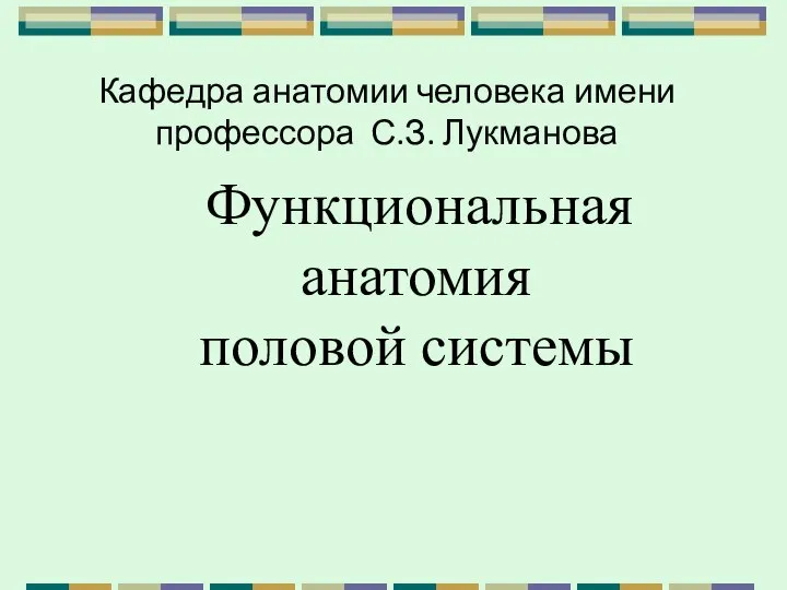 Функциональная анатомия половой системы Кафедра анатомии человека имени профессора С.З. Лукманова