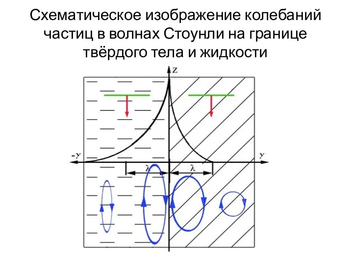 Схематическое изображение колебаний частиц в волнах Стоунли на границе твёрдого тела и жидкости