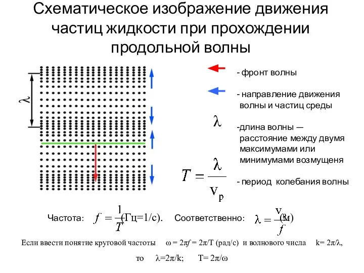 Схематическое изображение движения частиц жидкости при прохождении продольной волны фронт волны