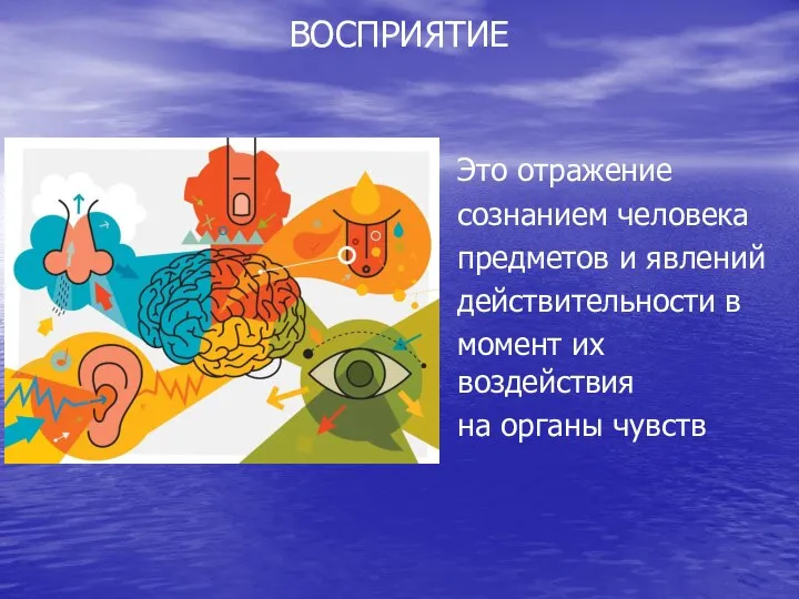 ВОСПРИЯТИЕ Это отражение сознанием человека предметов и явлений действительности в момент их воздействия на органы чувств