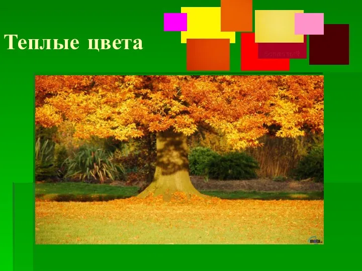 Теплые цвета