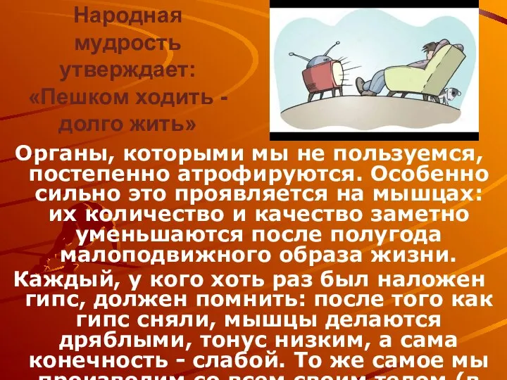 Народная мудрость утверждает: «Пешком ходить - долго жить» Органы, которыми мы