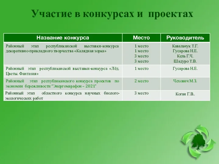 Участие в конкурсах и проектах