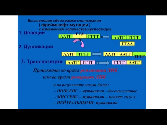 1. Делеции 2. Дупликации ААТГ ГТАА ГГТТ ААТГ ГГТТ ГТАА ААТГ