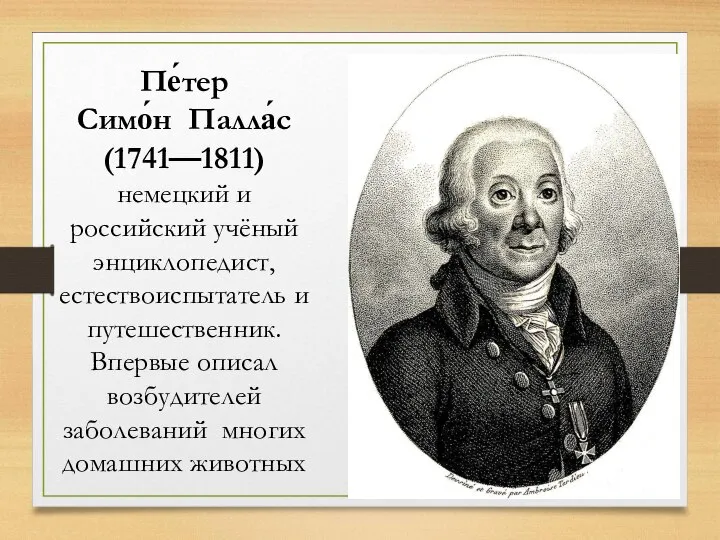 Пе́тер Симо́н Палла́с (1741—1811) немецкий и российский учёный энциклопедист, естествоиспытатель и