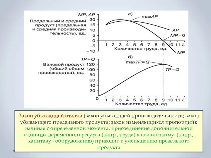 Закон убывающей отдачи (закон убывающей производительности; закон убывающего предельного продукта; закон