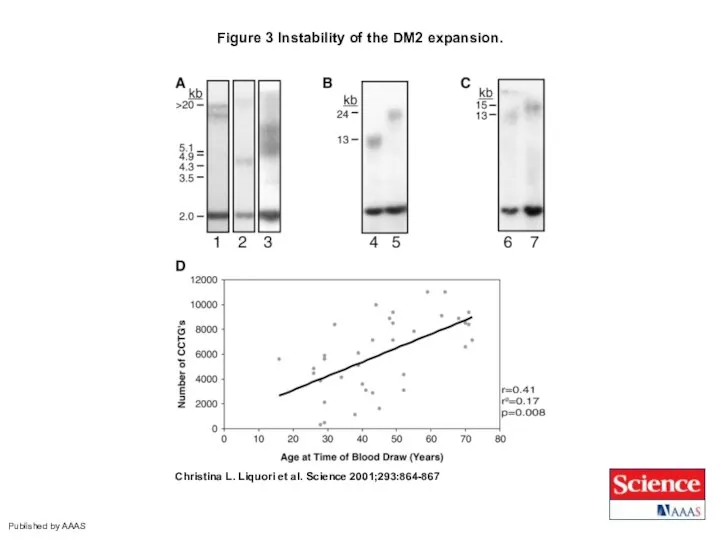 Figure 3 Instability of the DM2 expansion. Christina L. Liquori et