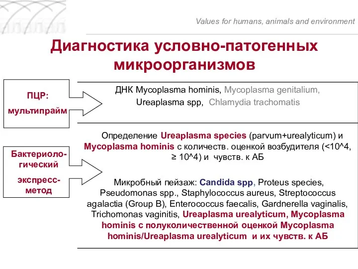 Диагностика условно-патогенных микроорганизмов Values for humans, animals and environment