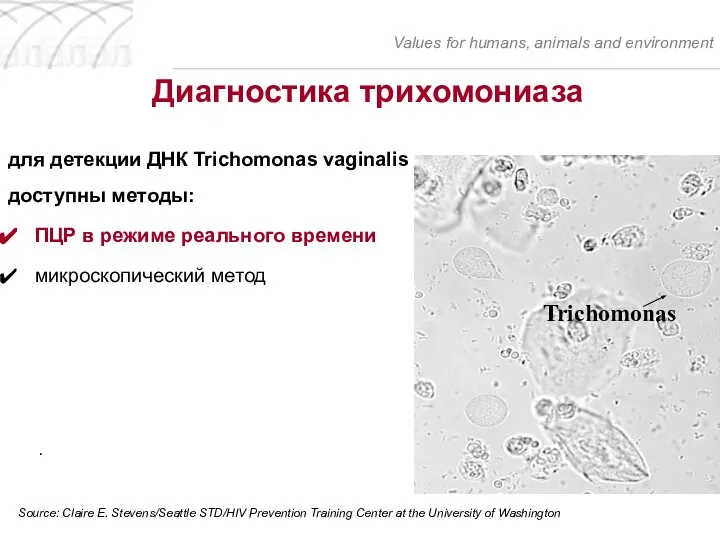 для детекции ДНК Trichomonas vaginalis доступны методы: ПЦР в режиме реального