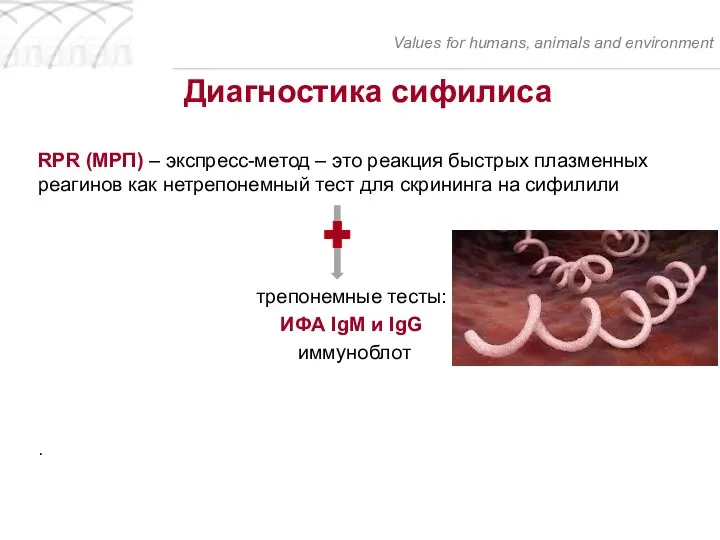 RPR (МРП) – экспресс-метод – это реакция быстрых плазменных реагинов как