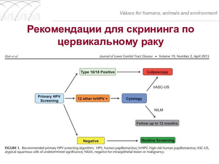 Рекомендации для скрининга по цервикальному раку Values for humans, animals and environment