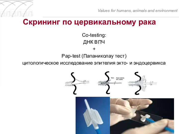 Скрининг по цервикальному рака Co-testing: ДНК ВПЧ + Pap-test (Папаниколау тест)