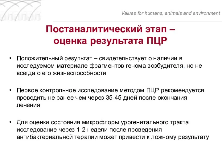 Постаналитический этап – оценка результата ПЦР Положительный результат – свидетельствует о