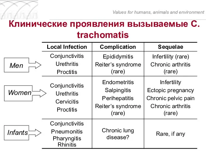 Клинические проявления вызываемые C. trachomatis Values for humans, animals and environment