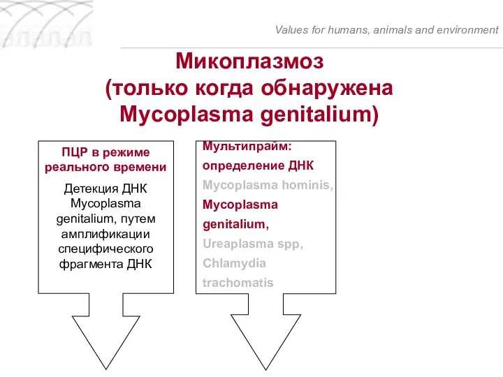 Микоплазмоз (только когда обнаружена Mycoplasma genitalium) Values for humans, animals and