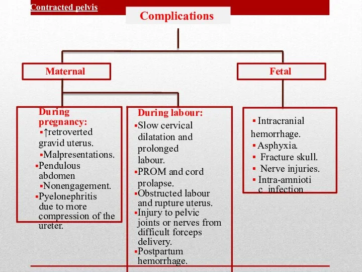 Complications Maternal Fetal Contracted pelvis