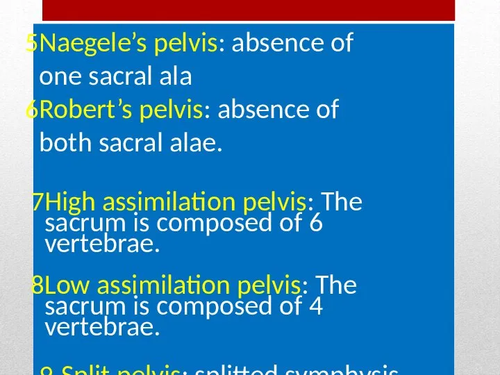 Naegele’s pelvis: absence of one sacral ala Robert’s pelvis: absence of