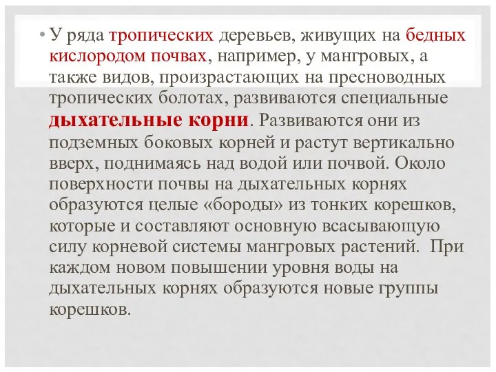 У ряда тропических деревьев, живущих на бедных кислородом почвах, например, у